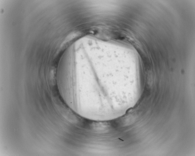 X0000088650378200706152013