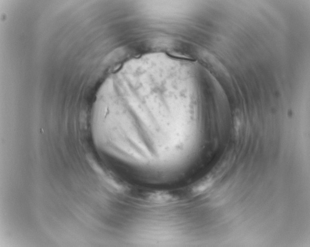 X0000088650379200706152013