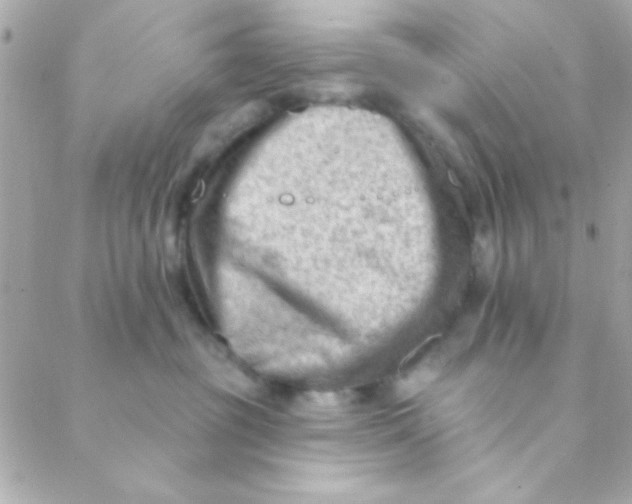 X0000088650381200706152013