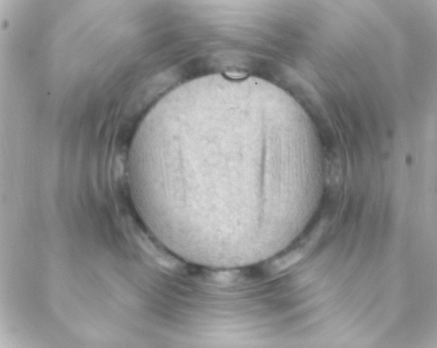 X0000088650382200706152013