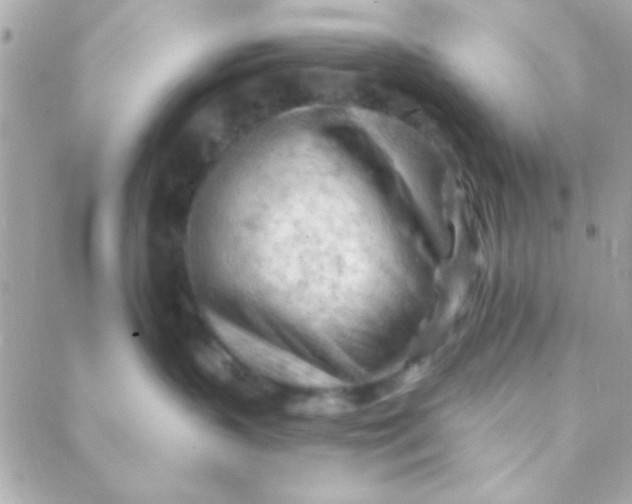 X0000088650383200706152013