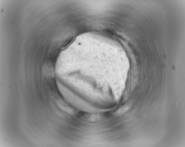 X0000088650384200706152014