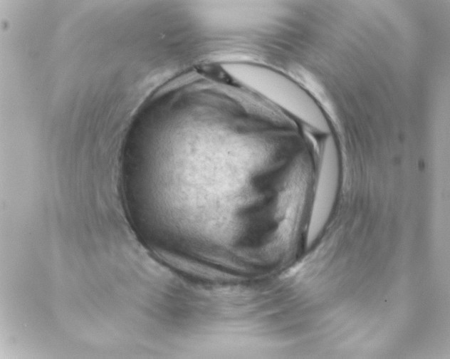 X0000088650385200706152013