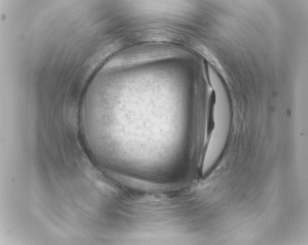 X0000088650386200706152013