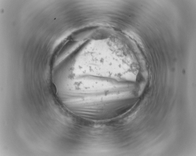 X0000088650388200706152013