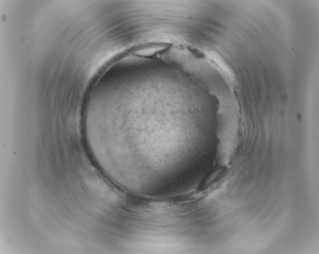 X0000088650391200706152013