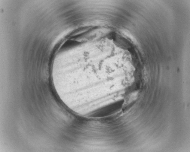 X0000088650392200706152013