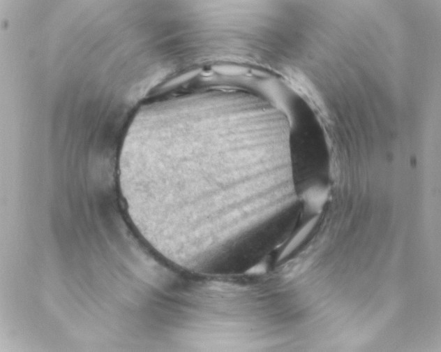 X0000088650393200706152013