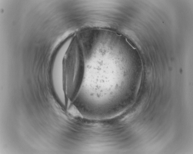 X0000088650395200706152013