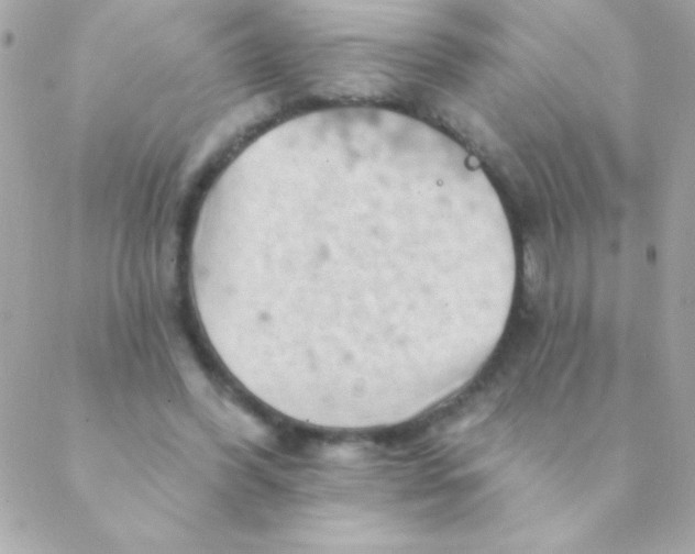 X0000088650396200706152013