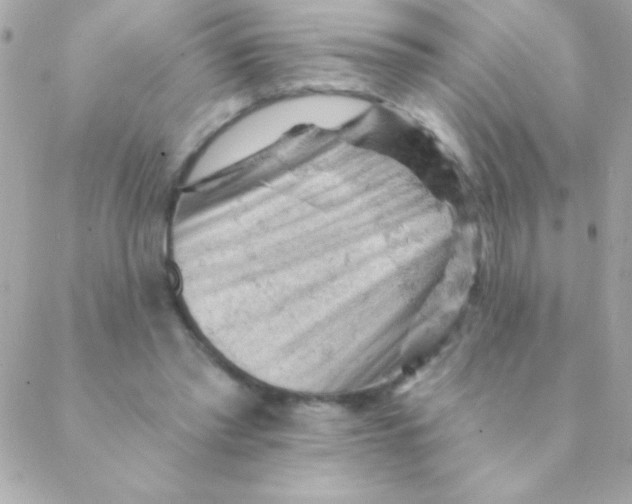 X0000088650397200706152013