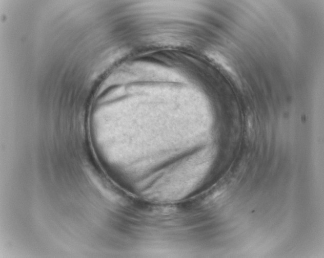 X0000088650398200706152013