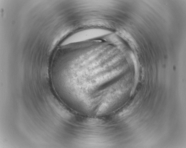 X0000088650399200706152013