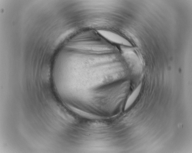 X0000088650400200706152012