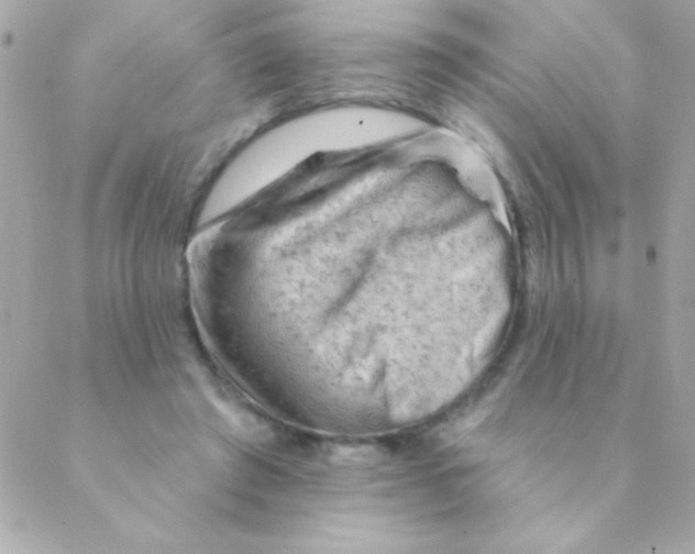 X0000088650401200706152012