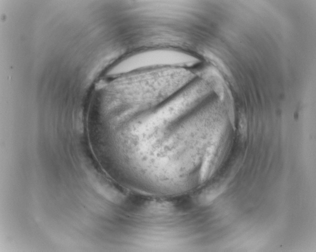 X0000088650403200706152012