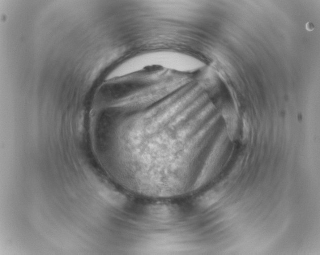 X0000088650404200706152012