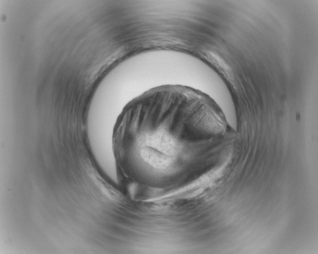 X0000088650405200706152012