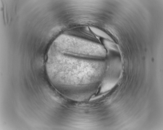 X0000088650407200706152012