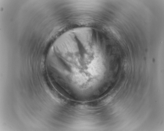 X0000088650408200706152012