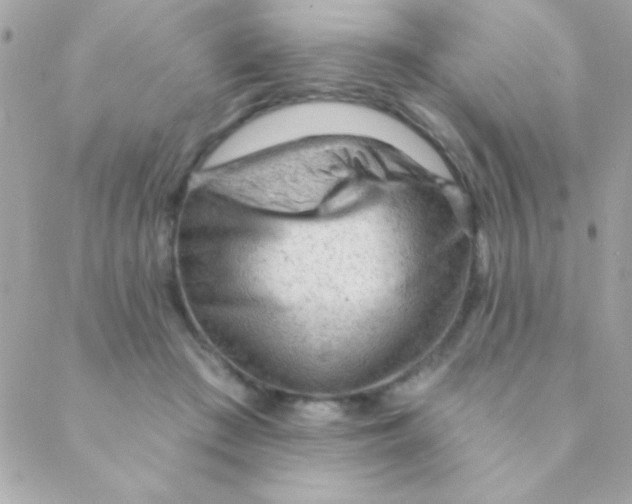 X0000088650409200706152012