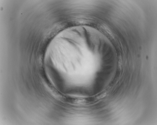 X0000088650410200706152012