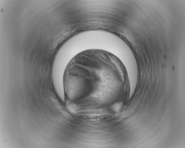 X0000088650411200706152012