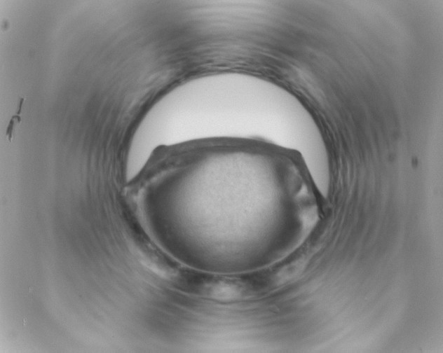 X0000088650412200706152012