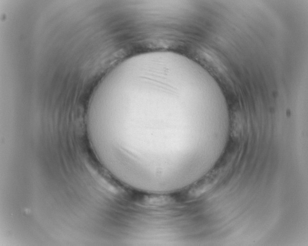 X0000088650414200706152012