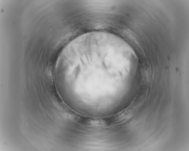 X0000088650415200706152012