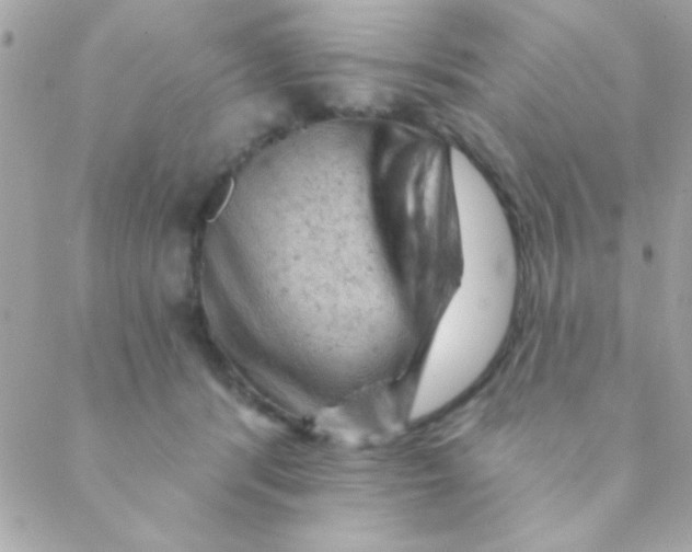 X0000088650416200706152012