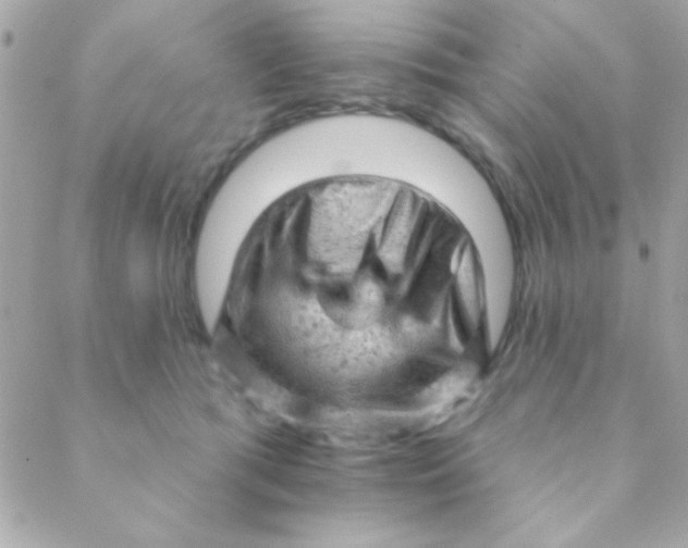 X0000088650417200706152012