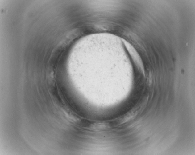 X0000088650418200706152012