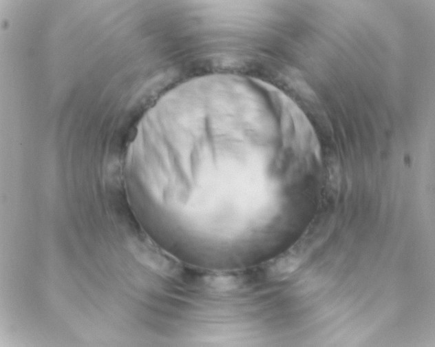 X0000088650419200706152012