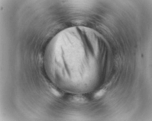 X0000088650420200706152012