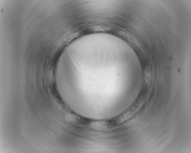 X0000088650422200706152012