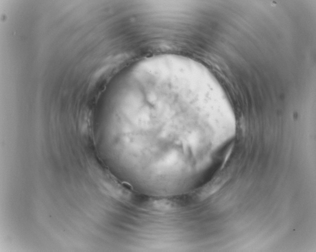 X0000088650423200706152012