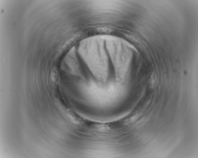 X0000088650424200706152012