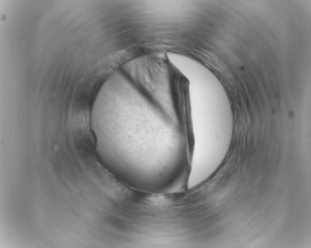 X0000088650425200706152012