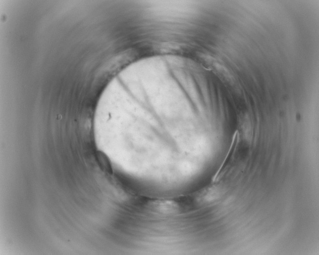 X0000088650427200706152012