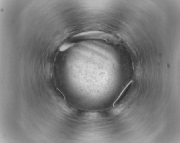 X0000088650428200706152012