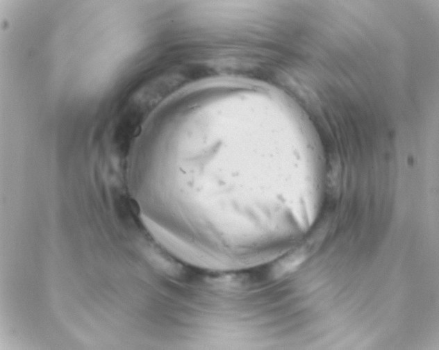 X0000088650430200706152012