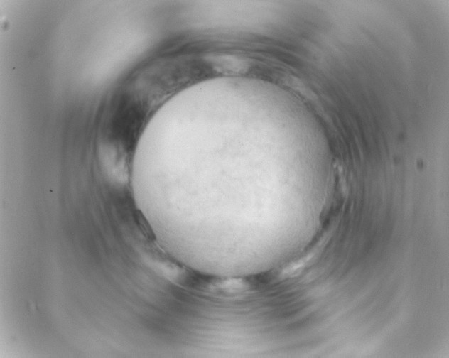 X0000088650431200706152012