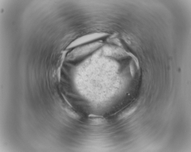 X0000088650432200706152012