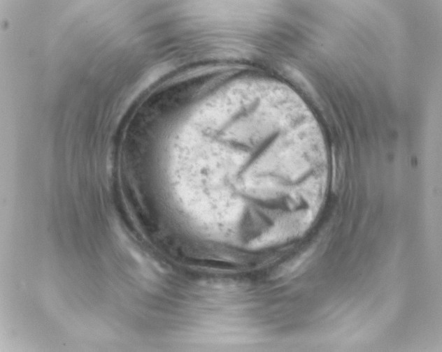 X0000088650435200706152011