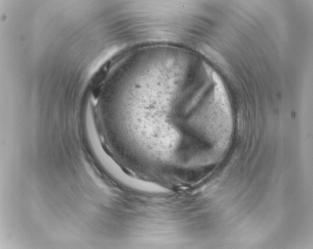 X0000088650436200706152011