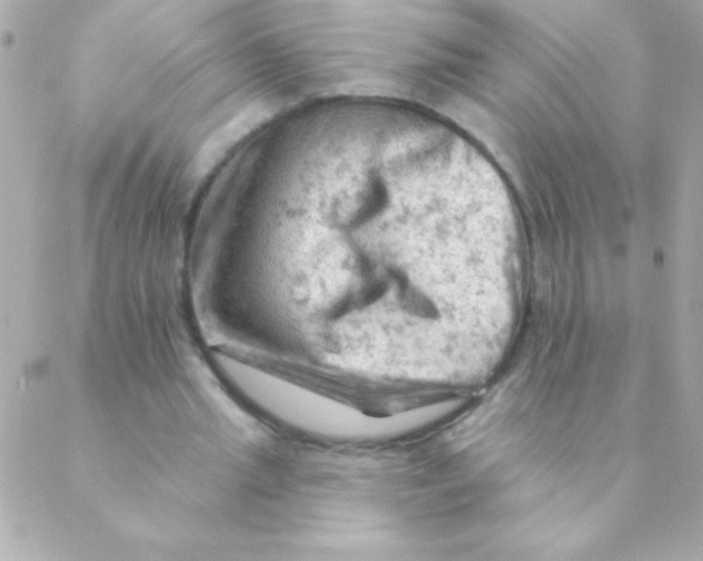 X0000088650437200706152011