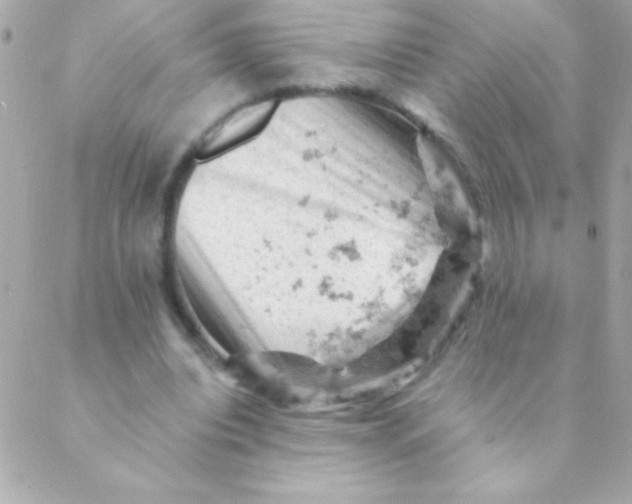 X0000088650440200706152011