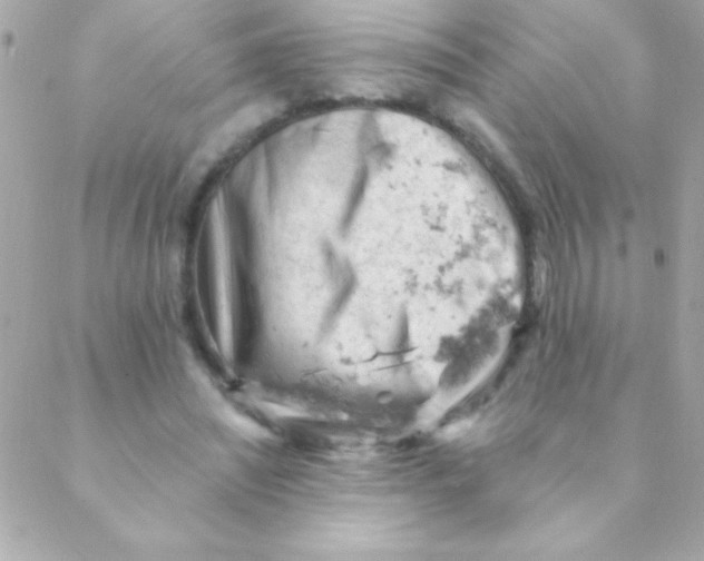 X0000088650444200706152011