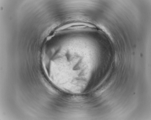 X0000088650445200706152011